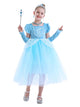 Princess Dress Short Sleeve Mesh Tutu Character Costume - Dorabear