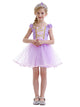 Princess Sophia Dress Puffy Mesh Dress Character Costume - Dorabear