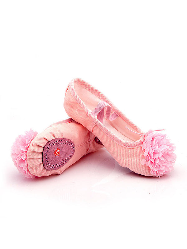 Training Ballet Shoes Soft Sole Flower Cat Claw Shoes - Dorabear
