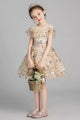 Autumn/Winter Evening Gown High end Piano Performance Costume Flower Girl Princess Dress - Dorabear