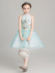 Autumn/Winter Evening Gown Princess Dress Girls' Puffy Dress Piano Performance Costume - Dorabear