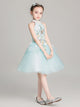 Autumn/Winter Evening Gown Princess Dress Girls' Puffy Dress Piano Performance Costume - Dorabear