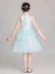 Autumn/Winter Evening Gown Princess Dress Girls' Puffy Dress Piano Performance Costume - Dorabear