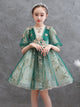 Autumn/Winter Girls' Princess Dress Puffy Evening Gown High-end Piano Performance Costume - Dorabear