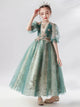 Autumn/Winter Girls' Princess Dress Puffy Evening Gown High-end Piano Performance Costume - Dorabear