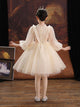 Autumn/Winter Luxury Evening Dress Princess Dress Performence Costume - Dorabear