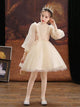 Autumn/Winter Luxury Evening Dress Princess Dress Performence Costume - Dorabear