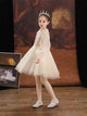 Autumn/Winter Luxury Evening Dress Princess Dress Performence Costume - Dorabear