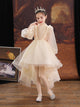 Autumn/Winter Luxury Evening Dress Princess Dress Performence Costume - Dorabear