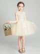 Autumn/Winter Piano Performance Costume Flower Girl's Wedding Gown Princess Dress - Dorabear