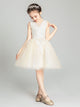 Autumn/Winter Piano Performance Costume Flower Girl's Wedding Gown Princess Dress - Dorabear