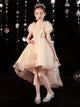 Autumn/Winter Piano Performance Costume Girls' Evening Gown Puffy Princess Dress - Dorabear