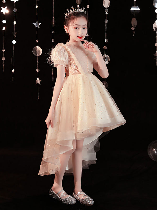 Autumn/Winter Piano Performance Costume Girls' Evening Gown Puffy Princess Dress - Dorabear