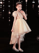 Autumn/Winter Piano Performance Costume Girls' Evening Gown Puffy Princess Dress - Dorabear