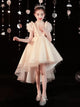 Autumn/Winter Piano Performance Costume Girls' Evening Gown Puffy Princess Dress - Dorabear