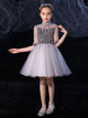 Autumn/ Winter Piano Performance Costume Puffy Dress  Evening Gown Flower Girl Wedding Dress - Dorabear