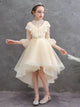 Autumn/Winter Princess Dress Girls Evening Gown Piano Performance Costume - Dorabear