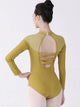 Autumn/Winter Standing Collar Long-sleeved Leotard Ballet Practice Clothes - Dorabear