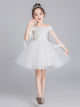 Autumn/winter Princess Dress Puffy Evening Gown Flower Girl's Wedding Dress - Dorabear