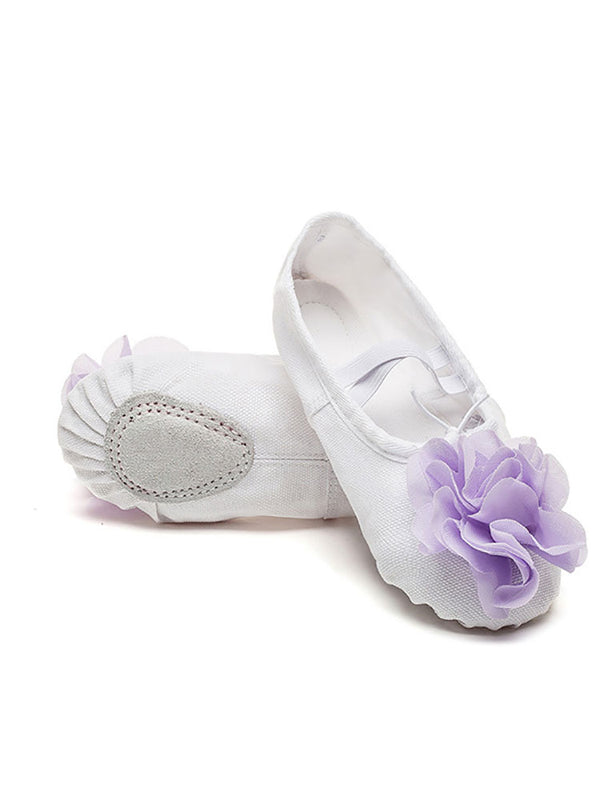 Ballet Soft Sole Exercise Shoes Flower Cat Claw Dance Shoes - Dorabear