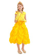 Belle Princess Puffy Dress Theme Character Costume - Dorabear