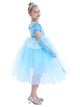 Princess Dress Short Sleeve Mesh Tutu Character Costume - Dorabear