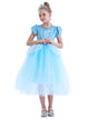 Princess Dress Short Sleeve Mesh Tutu Character Costume - Dorabear