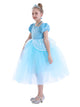 Princess Dress Short Sleeve Mesh Tutu Character Costume - Dorabear