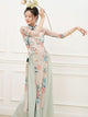 Classical Dance Costume Oriental Elements Folk Cheongsam Elastic Mesh Printing Clothing - Dorabear
