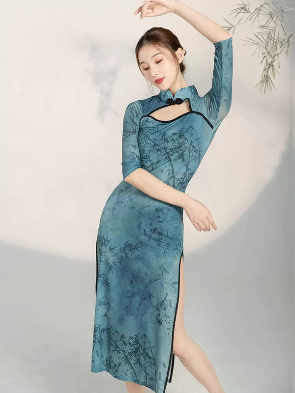 Classical Dance Elastic Cheongsam Chinese Dance Practice Costume, National Style Performance Costume - Dorabear
