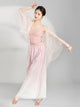 Classical Dance Training Pants Double Layer Elegant Performance Costumes Straight Chiffon Loose Wide Leg Pants - Dorabear