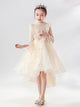 Evening Gown Flower Girl Wedding Dress Autumn/Winter Piano Performance Costume - Dorabear