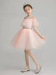 Evening Gown Girl Princess Dress Flower Girl Wedding Dress Catwalk Performence Costume - Dorabear