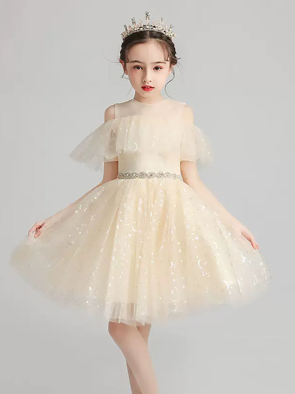 Evening Gown Girl Princess Dress Flower Girl Wedding Dress Catwalk Performence Costume - Dorabear