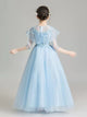 Evening Gown Girl Princess Dress Flower Girl Wedding Dress Performence Costume - Dorabear