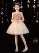 Evening Gown Girls' Puffy Princess Dress Autumn/Winter Piano Performance Costume - Dorabear