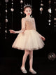 Evening Gown Girls' Puffy Princess Dress Autumn/Winter Piano Performance Costume - Dorabear