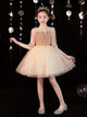 Evening Gown Girls' Puffy Princess Dress Autumn/Winter Piano Performance Costume - Dorabear