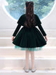 Evening Gown Princess Dress Birthday Wedding Dress Long Sleeve Performance Costume - Dorabear