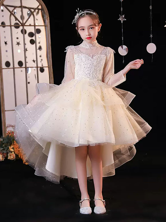 Evening Gown Princess Dress Puffy Dress Piano Performence Costume - Dorabear