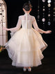 Evening Gown Princess Dress Puffy Dress Piano Performence Costume - Dorabear