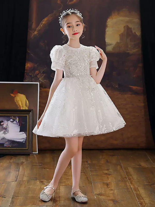 Evening Gown Princess Dress Puffy Performance Costume Flower Girls Wedding Dress - Dorabear