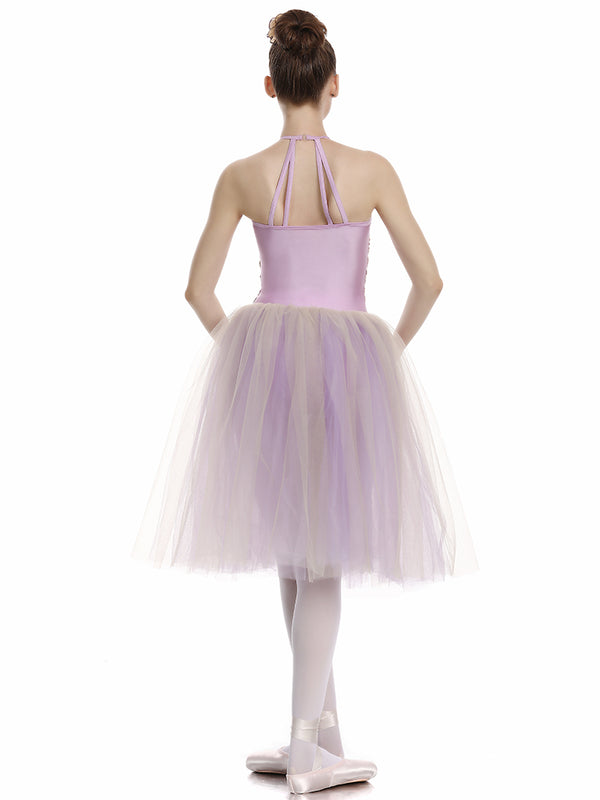 Mesh Halter Sleeveless Ballet Dress Professional Dance Performance Clothing - Dorabear