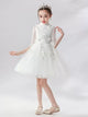 Flower Girl Princess Dress Autumn/Winter Girls' Long Sleeve Gown Puffy Performance Costume - Dorabear