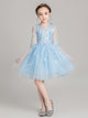 Flower Girl Princess Dress Girls' Puffy Wedding Dress Fashionable Evening Gown - Dorabear