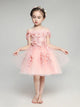 Flower Girl Wedding Dress Girl Princess Dress Pink Fluffy Performance Costume - Dorabear