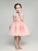 Flower Girl Wedding Dress Girl Princess Dress Pink Fluffy Performance Costume - Dorabear