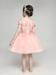 Flower Girl Wedding Dress Girl Princess Dress Pink Fluffy Performance Costume - Dorabear