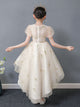 Flower Girl Wedding Dress Piano Performance Costume Girls Evening Gown Princess Dress - Dorabear