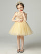 Flower Girl Wedding Gown Princess Dress Girls High-end Piano Performance Costume - Dorabear